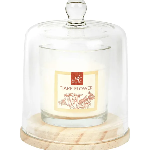 Candra Kaarsen^Absolu Chic Geurkaars In Stolp