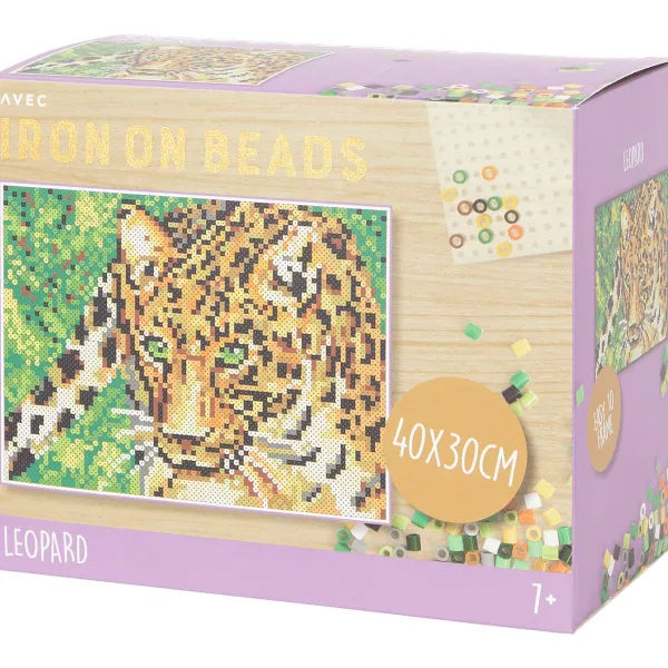 Disney Knutselen^Avec Strijkkralen-Schilderij