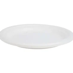 Merk Feestartikelen^Borden Van Bagasse