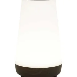 LSC Smart Connect Lampen^Deluxa Touch Lamp