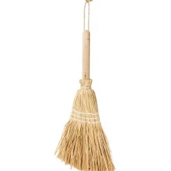 National Geographic Tenten^Handbezem