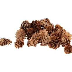 Merk Woonaccessoires^Home Accents Decoratiemateriaal