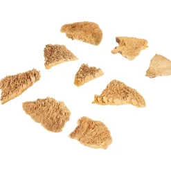 Merk Kunstplanten & -Bloemen^Home Accents Natural Droogmix