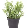 Merk Kunstplanten & -Bloemen^Kunstkruidenplant