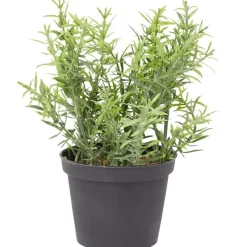 Merk Kunstplanten & -Bloemen^Kunstkruidenplant