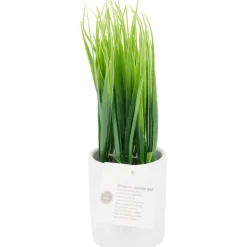 Merk Kunstplanten & -Bloemen^Kunstplant In Pot