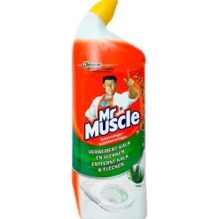 Mr Muscle Schoonmaakmiddelen^Toiletreiniger Fresh
