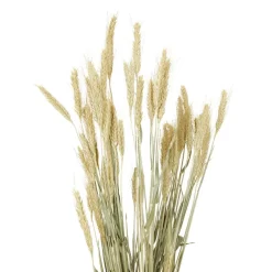 Merk Kunstplanten & -Bloemen^Nederlandse Droog Kunstbloemen