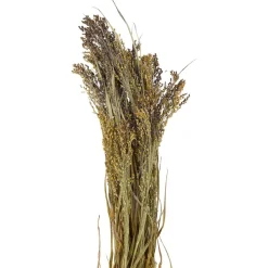Merk Kunstplanten & -Bloemen^Nederlandse Droog Kunstbloemen