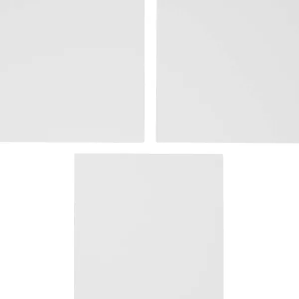 Van Bleiswijck Schilderen^Schilderspanelen